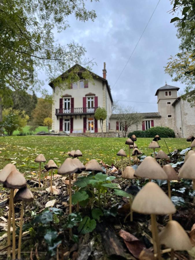 Domaine La Rose Bed & Breakfast Caylus Luaran gambar